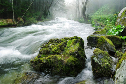 Eau potable, eaux usées et eau pluviale